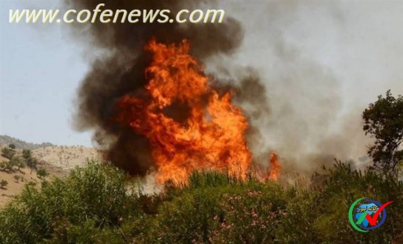 مهار آتش‌سوزی‌ها در جنگل‌های کهگیلویه و بویراحمد